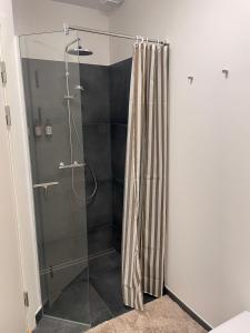 eine Dusche mit Duschvorhang im Badezimmer in der Unterkunft Sunway Place in Præstø + 15 Fotos