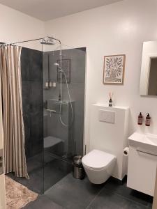 ein Badezimmer mit Dusche und Toilette in der Unterkunft Sunway Place in Præstø