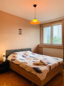 Postel nebo postele na pokoji v ubytování Yellow Moon Hostel&Apartment