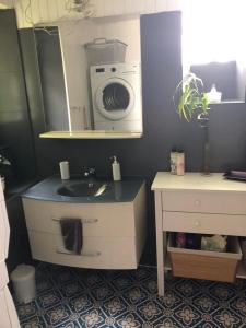 a bathroom with a sink and a washing machine at Le Nid du Cormier in Ville-Saint-Jacques +9 photos