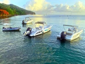 Phong cảnh thiên nhiên gần biệt thự