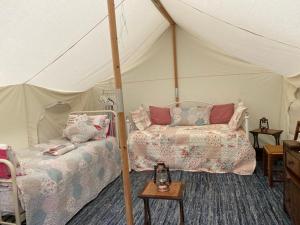 LincolnshireAmelia Vera的帐篷里有一间卧室，里面有两张床
