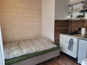Katil atau katil-katil dalam bilik di Studio apartment with terrasse