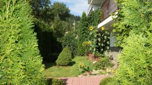 Vonkajšia záhrada v ubytovaní 2-pokojowe Apartamenty KAMIL Krynica-Zdrój