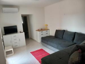 a living room with a couch and a tv at Apartman Dina in Peroj