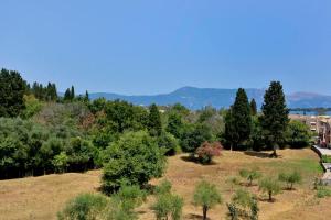un champ planté d'arbres et un bâtiment en arrière-plan dans l'établissement Corfu SeaTy Apartment, à Corfou 27 autres photos