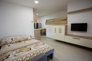 TV a/nebo společenská místnost v ubytování Apartmány v Údolí