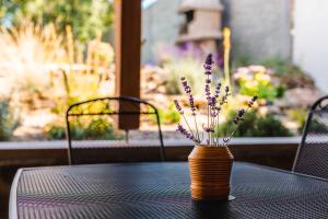 Zahrada ubytování Apartmány v Údolí