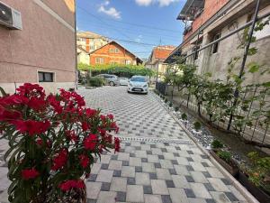 a car parked on a street with red flowers at Julia Apartments in Ohrid