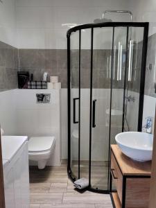a bathroom with a shower and a toilet and a sink at Apartament Wałowa 4 in Wejherowo