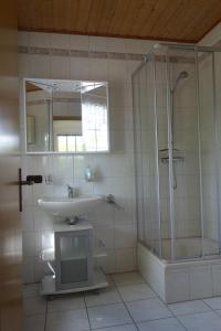 een badkamer met douche, wastafel en spiegel bij Ferienwohnung Linde bei Ferienwohnungen May in Plankenfels +13 foto's