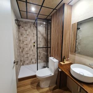 a bathroom with a toilet and a sink and a shower at Hostal Luxury Green Madrid Gran Vía in Madrid