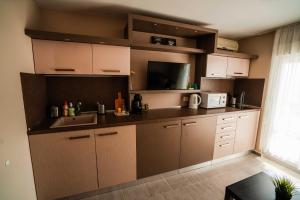 Kuchyň nebo kuchyňský kout v ubytování Apartment Harmony