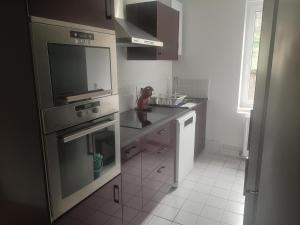 a kitchen with a sink and a stove top oven at Kaliyan Appartements 2 in Hayange