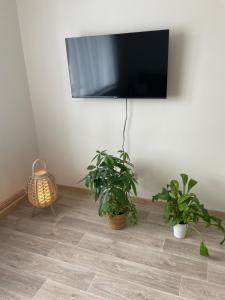 TV a/nebo společenská místnost v ubytování Apartmány Ferie