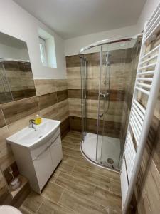 Koupelna v ubytování Apartmány Ferie