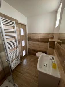 Koupelna v ubytování Apartmány Ferie
