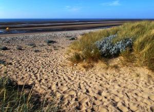 Photo de la galerie de l'établissement Sunnyside, à Kinmel Bay