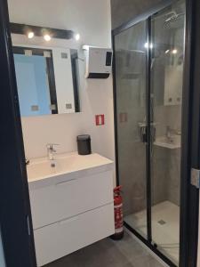 een badkamer met een wastafel en een douche bij EnJOY Zee en uitzicht op Hinterland Westende in Middelkerke