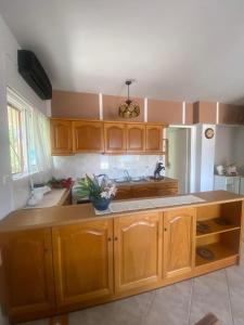 une cuisine avec des armoires en bois et un comptoir dans l'établissement Paradise house, à Kato Alepochori