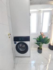a washing machine in a white room with a plant at Gandia Playa Apartament Claudia Lux con vistas al mar in Playa de Gandia