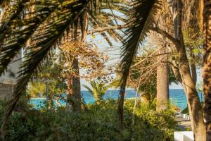 Foto dalla galleria di Exotic Beach House a Pefkohori Altre 15 foto