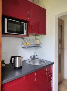 a kitchen with a sink and a microwave at Domki na Wodnej in Kołobrzeg