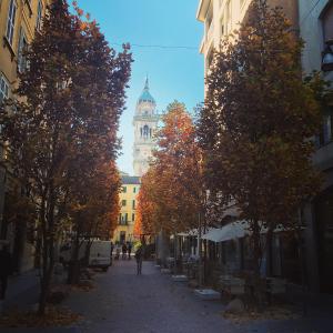 een met bomen omzoomde straat met een klokkentoren op de achtergrond bij Repubblica Di Oz Rooms in Varese