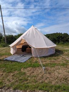 哈佛威斯特Nolton Coast Bell Tents的相册照片