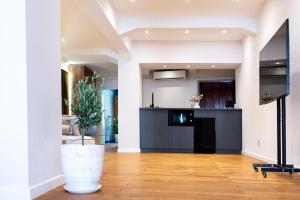 a kitchen with a plant in a white vase at Thome Continental Suite in Cluj-Napoca