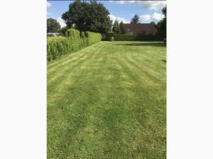 a field of grass with a house in the background at Holiday apartment Strackholt in Großefehn 