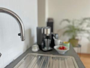Η κουζίνα ή μικρή κουζίνα στο Astrid Sauna Appartement Antwerp