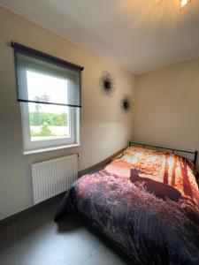 een slaapkamer met een bed en een raam bij Le Daguet pour 4 in Florenville +39 foto's