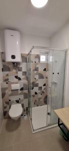 Un baño con inodoro y ducha de cristal. en Metajna top apartment, en Metajna