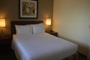 Postel nebo postele na pokoji v ubytování Siesta Suites