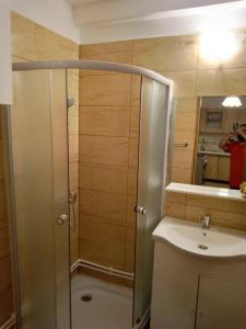 a bathroom with a shower and a sink at Apartament Costescu 2 in Băile Herculane