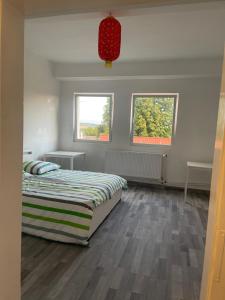 a bedroom with a bed and two windows at Y Hoa-Ferienzimmer in Artern
