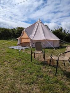 哈佛威斯特Nolton Coast Bell Tents的相册照片
