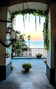 Gallery image of Quietness La Quiete in Vico Equense