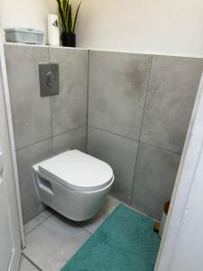 ヴェニシューにあるAppartement t3 70 m2のバスルーム(トイレ付)、緑のラグ +18枚の写真