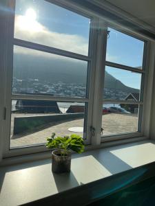 a window with a potted plant sitting on a counter at New Stylish Apartment Downtown in Klaksvík