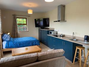 卡里克马克罗斯Twin Lakes Studio Apt的客厅里有一张沙发和一个厨房