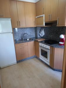 a kitchen with wooden cabinets and a white refrigerator at Vistas pedras neg in Pontevedra