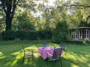 Zahrada ubytování Villa Bergmann