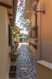 an alley with a plant on the side of a building at Orelia in Preveza