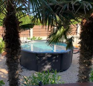 a hot tub in a garden with two palm trees at House between beaches in Vir