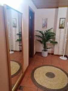 Φωτογραφία από το άλμπουμ του Praia de Mira - Apartamento T2 σε Praia de Mira