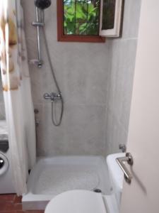 a bathroom with a shower and a toilet and a sink at Hippocampus House in Stratónion