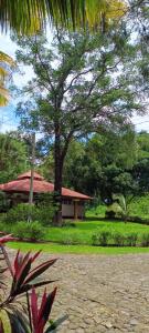 a house with a tree in the middle of a yard at Melany's House's in Ajaxá