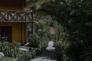 un sentiero nel giardino accanto a una casa con una palma di Andean Wings Valley a Urubamba Altre 37 foto